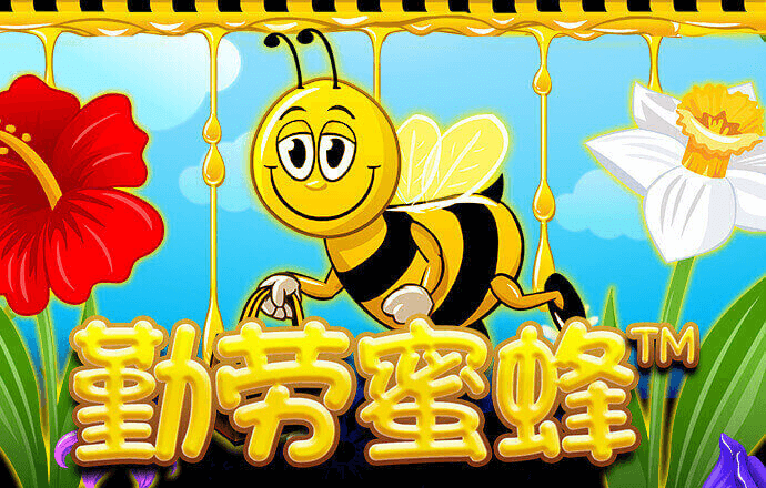 355娱乐彩票官方正版使用方法